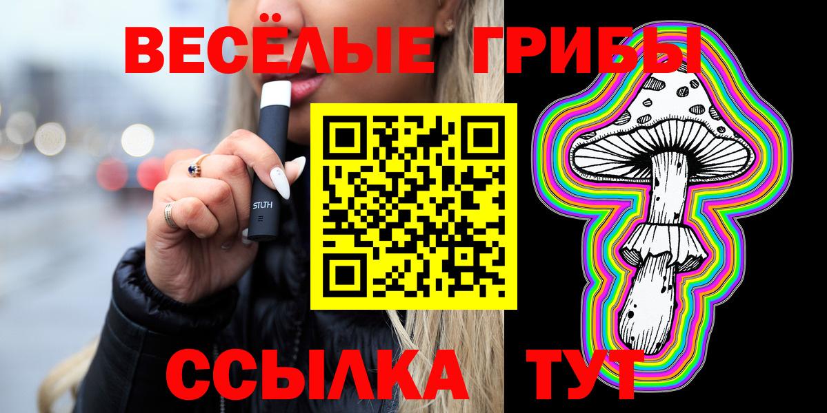 Галлюциногенные грибы GOLDEN TEACHER Курчалой