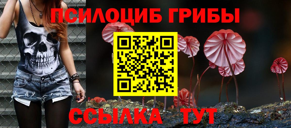 Курчалой  Галлюциногенные грибы Psilocybine cubensis  что такое   Галлюциногенные грибы мухоморы  Вход с VPN 